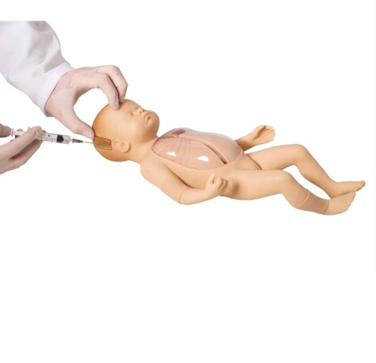 Bebe PICC cabeça